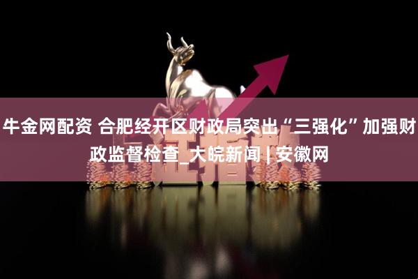 牛金网配资 合肥经开区财政局突出“三强化”加强财政监督检查_大皖新闻 | 安徽网