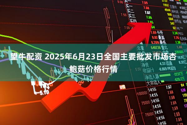 望牛配资 2025年6月23日全国主要批发市场杏鲍菇价格行情